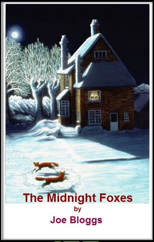 Product picture Midnight Foxes